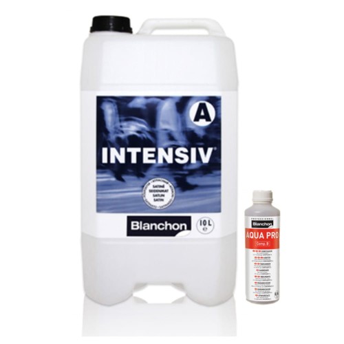 blanchon_intensive ywardzacz tez.jpg